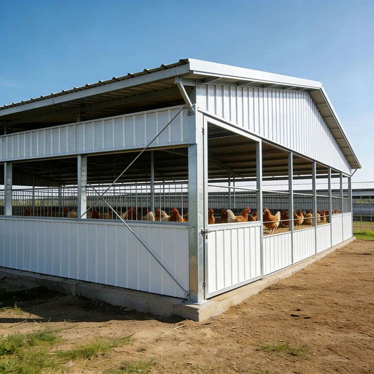 Steel Structure Poultry House high quality